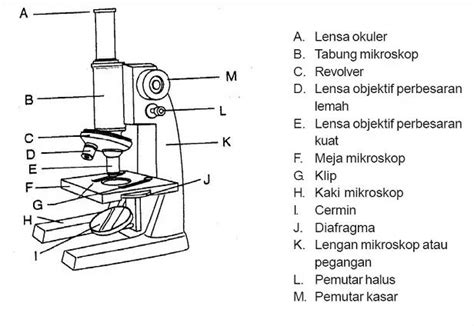gambar sketsa mikroskop binokuler  bagiannya satu trik