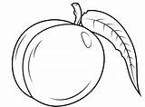Nectarine Coloring Pages sketch template
