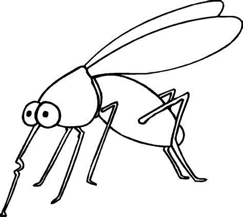fun bug coloring pages png  file