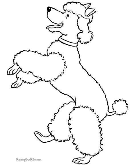 dogs coloring pages coloring home