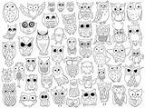 Owls Line Fantastik Nearby Tablet Hibou Depuis sketch template
