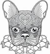 Coloring Pages Bulldog French Boston Terrier Pug Dog Printable Color Adults Adult Print Zentangle Mandala Animal Colouring Skull Getcolorings Newfoundland sketch template