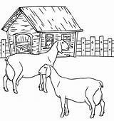 Coloring Pages Animal Farm Printable Kids Cool2bkids Goats sketch template