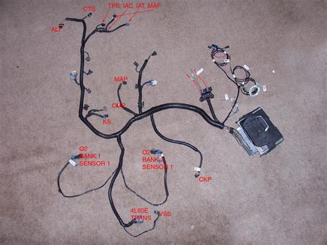 ls swap wiring harness standalone