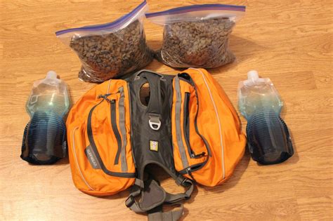 dog backpack review hiking   ruffwear approach pack