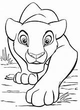 Lion King Coloring Pages Kovu Getdrawings sketch template
