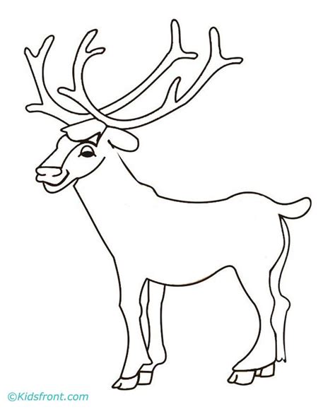 elk coloring pages coloring home