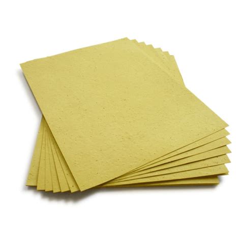 Olive Green Plantable Seeded Paper Sheets With Wildflower Seeds 8 5