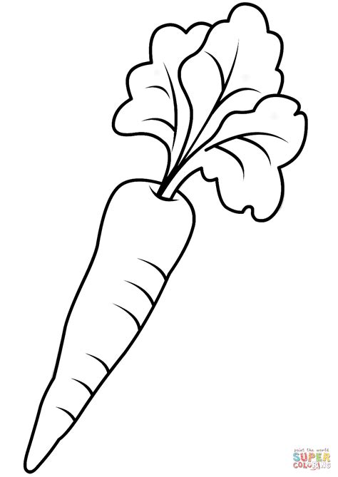 carrots coloring pages