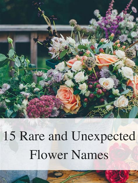 Rare And Unexpected Flower Names Flower Names Beautiful