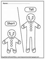 Opposites Kids Coloring Preschool Worksheet Pages Tall Gingerbread Short Kindergarten Man Worksheets Printable Set sketch template