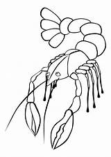 Coloring Lobster Crayfish Pages Langosta Para Colorear Color Kids Printable Dibujo Crawfish Animal Animals Large Drawing Categories Edupics Comments sketch template