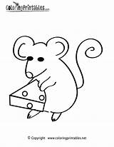 Mouse Coloring Pages Cheese Printable Animal Animals Printables Thank Please Popular sketch template