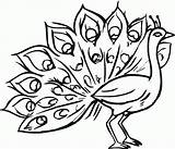 Peacock Coloring Pages Baby Printable Color Kids Clipart sketch template