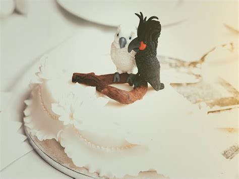 parrot cockatoo wedding cake topper unique cake toppers custom etsy
