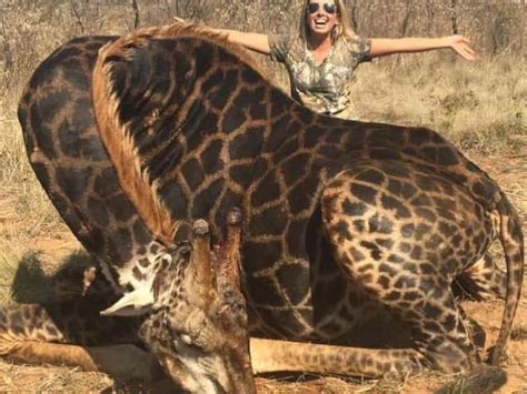 Trophy Hunter Tess Talley Says She Ate Giraffe Proud To Hunt News