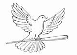 Burung Sketsa Merpati Hitam Sayap Mewarnai Putih Hinggap Mengepakkan Kolase sketch template