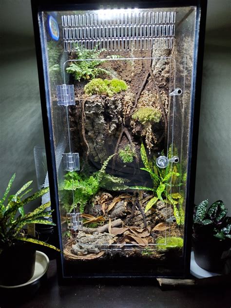 gallon tallhigh aquarium geckoarboreal conversion kit  heart geckos