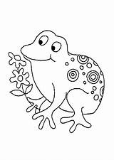 Grenouille Coloriage Kleurplaten Frogs Hugolescargot Imprimer Hugo sketch template