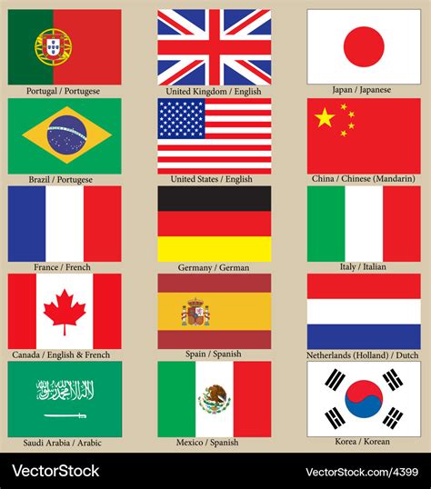 internet language flags royalty  vector image