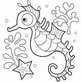 Seahorse Coloring Pages Printable Print Kids Sea Horse Seahorses Horses Starfish sketch template