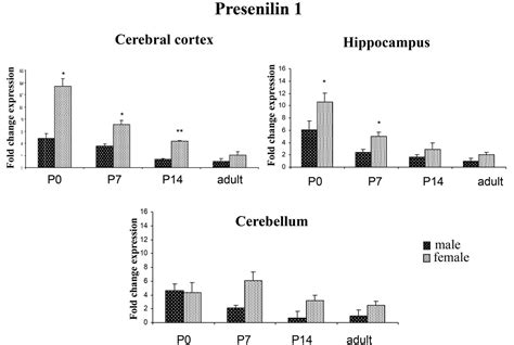 sex effect on presenilins expression in post natal rat brain