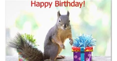 happy birthday squirrel photo print  zazzlecom  red pinterest squirrel