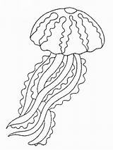 Medusas Pintar Jellyfish sketch template