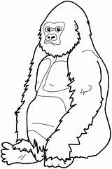 Gorilla Coloring Pages Clipart Cartoon Clip Cute Face Baby Cliparts Sitting River Craft Monkey Down Printable Library Animal Kids Color sketch template