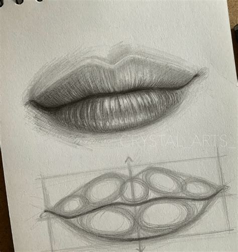 How To Draw Mouths Like A Pro Step By Step In 2020 Lips Drawing