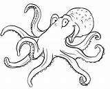 Tintenfisch Malvorlage Tiere Fische Regenbogenfisch Malen Malvorlagen Octopus Splatoon Besuchen sketch template