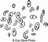 Yeast Clipart Clipground sketch template