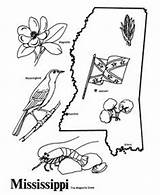 Mississippi Coloring Pages State Print Outline Studies Map Social America History States Search Google Symbols Kids Ms North 4th Grade sketch template