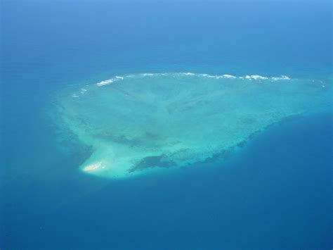 filetanzania dar es salaam marine reserve fungu yasinijpg wikimedia commons