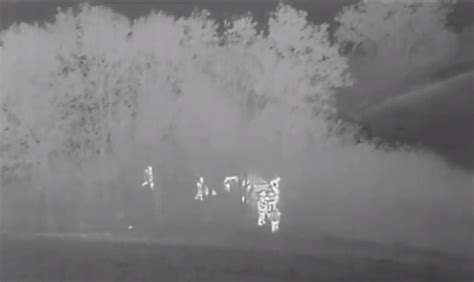 police catch poacher  thermal camera drone autelpilot