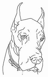 Hond Honden Kleurplaten Dane Caini Dieren Colorat Caine Desen Mewarnai Planse Anjing Vanatoare Cani Animasi Chiens Ausmalbild Bergerak Animierte Coloringpagesfun sketch template