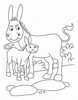 Donkey Coloring Foal Baby Pages Clipart Drawing Colouring Donkeys Kids Printable Clip Getdrawings Library Comments Books sketch template