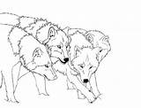 Wolf Coloring Pages Kids Wolves Printable Outline Anime Realistic sketch template