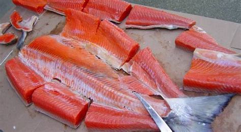 mudah fillet ikan salmon okezone lifestyle