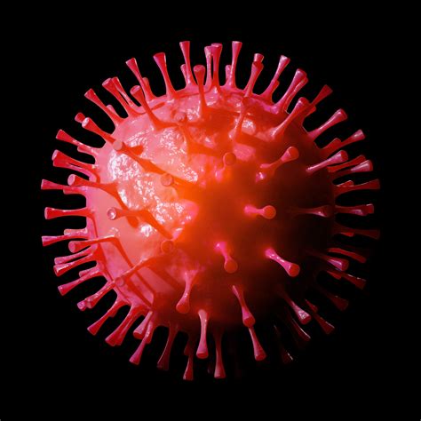 covid  coronavirus epidemic source confirmed  natural  man
