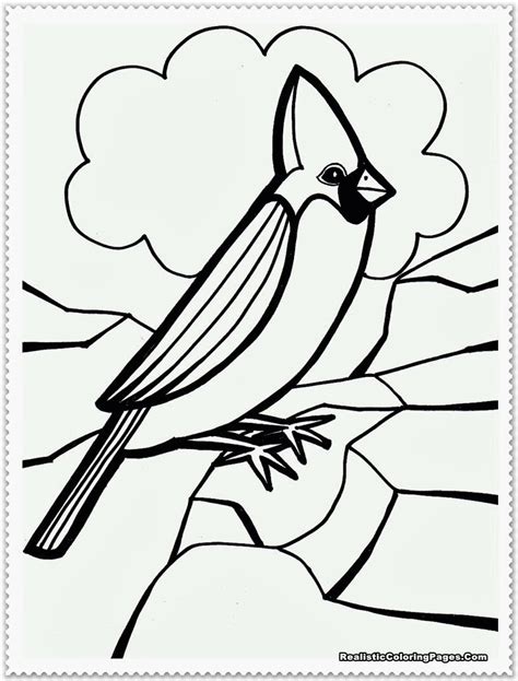 coloring pages birds realistic coloringpages