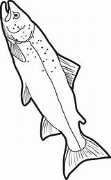 Fish Coloring Pages Realistic Kids Printable Colouring Drawings Real Template Trout Patterns Print Color Book Outline Sheets Fishing Projects Animal sketch template