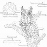 Stare Coloring Designlooter Exquisite Owl Lovely Style sketch template