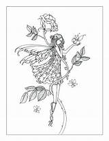 Coloring Pages Fairy Harrison Molly Intricate Adult Printable Books Colorear Colouring Getcolorings Fairies Sheets Rose Template Mollyharrisonart sketch template