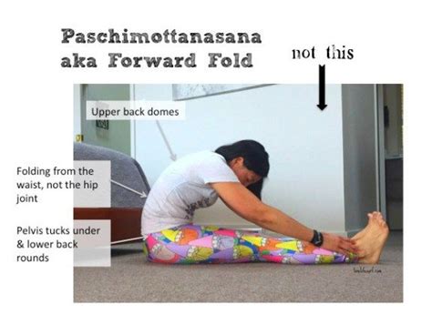 common mistakes   folds yoga  fold  fold