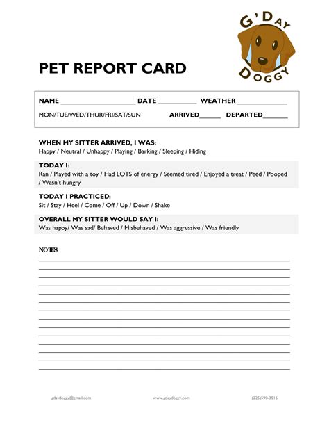 pet report card pet sitting business dog daycare business dog daycare
