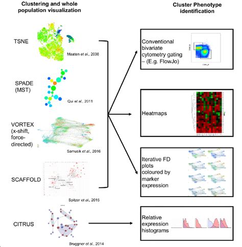 current approaches  analyse mass cytometry data left  examples