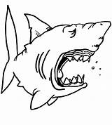 Shark Coloring Pages Sharks Kids Hungry Drawing Jaws Chibi Great Color Funny Print Jaw Outline Children Template Printable Hammerhead Getdrawings sketch template