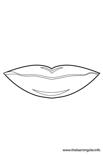 mouth   learning site