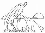 Dolphin Coloring Pages Print sketch template